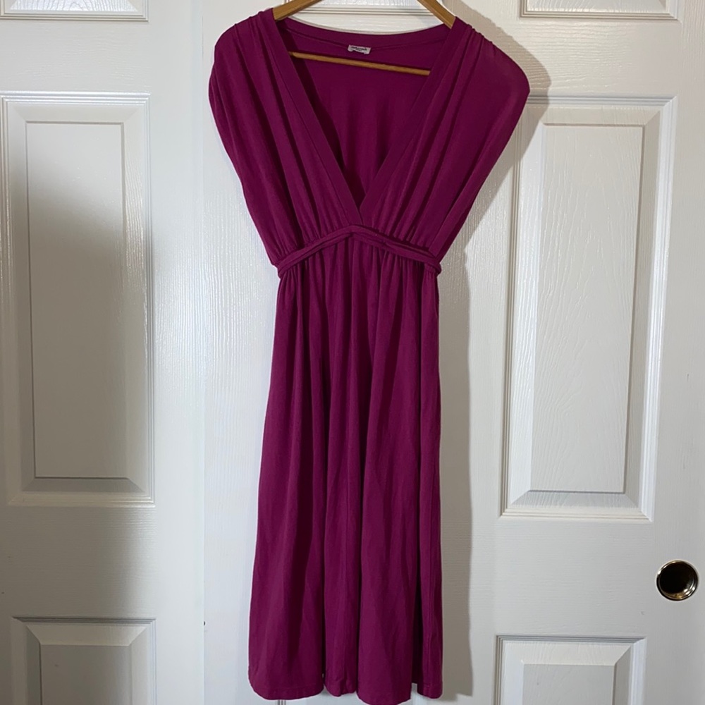 Splendid Dress